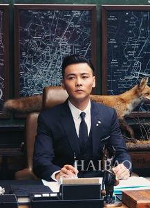 张晋电影,硬汉柔情，剑影侠骨的江湖传奇