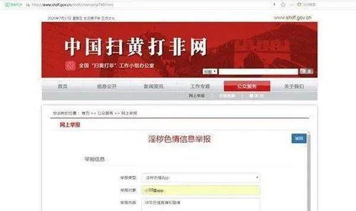 成人app直播网站,行业现状与未来发展