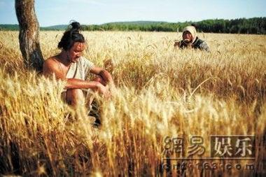 电影麦田,心灵救赎与人性挣扎的史诗之旅